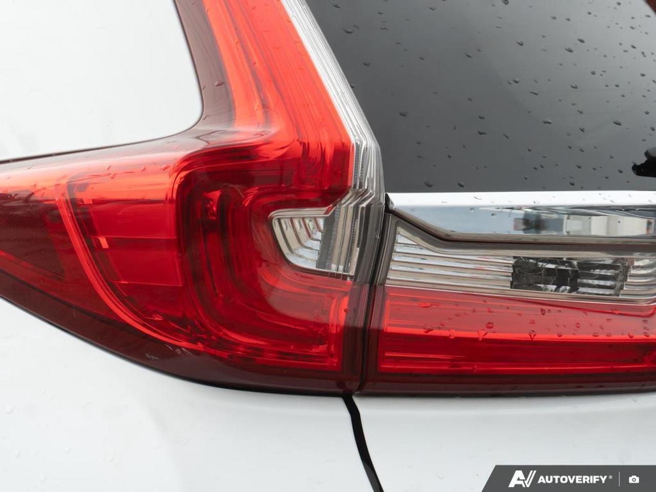 2019 Honda CR-V  Photo