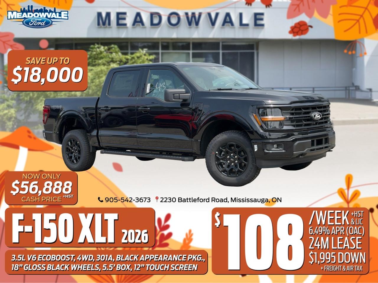 2026 Ford F-150 XLT Photo