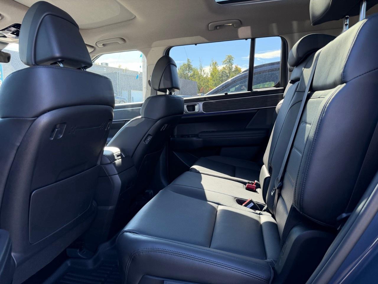 2025 Hyundai Santa Fe LUXURY AWD Photo