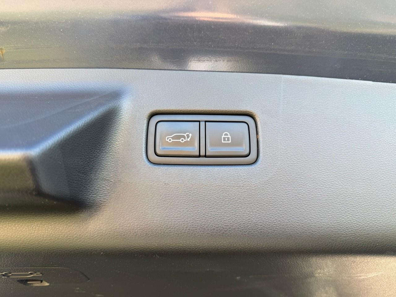 2025 Hyundai Santa Fe LUXURY AWD Photo