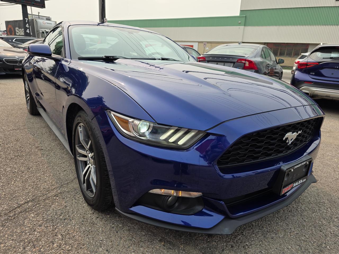 2015 Ford Mustang EcoBoost Premium Photo