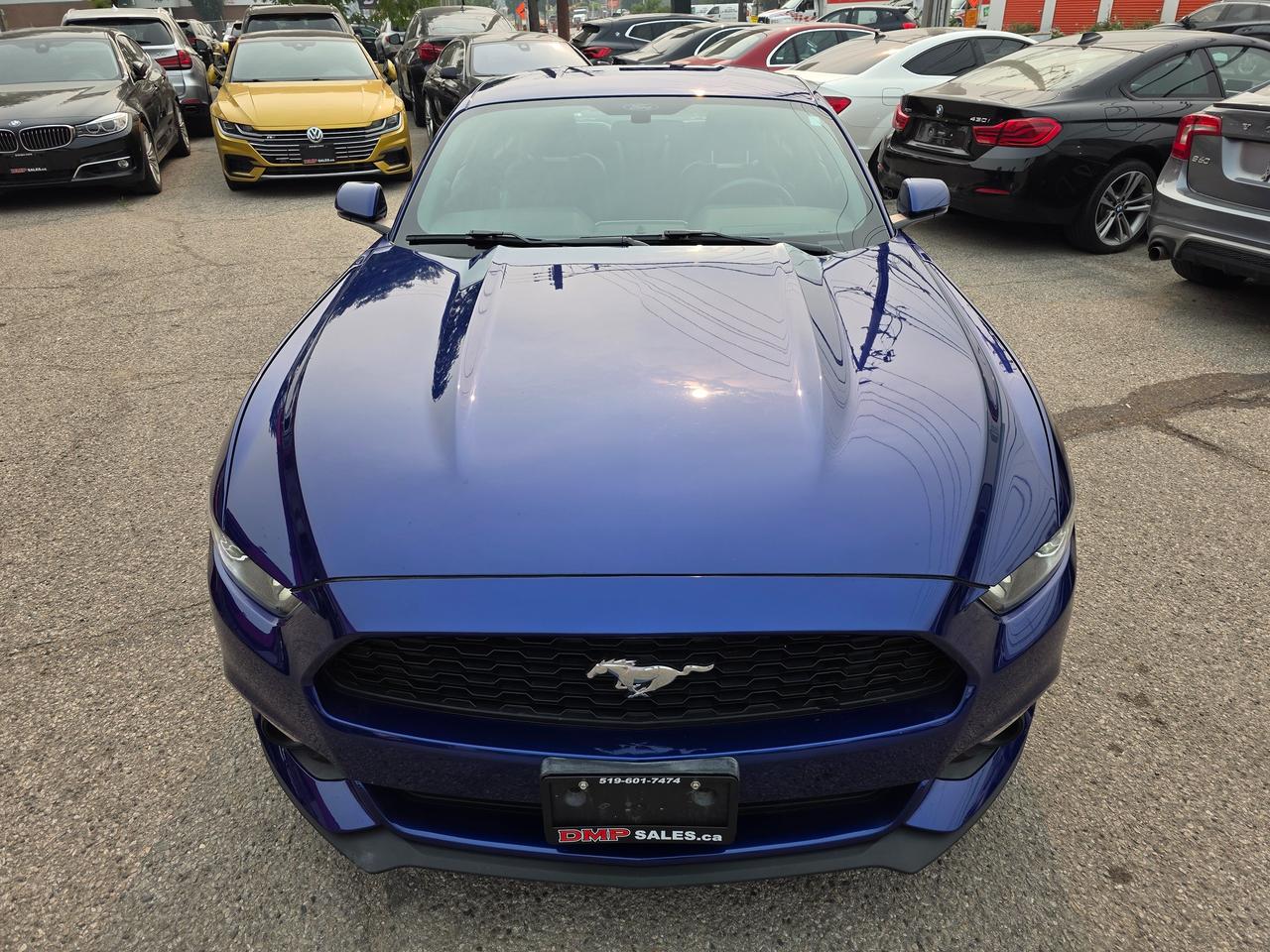 2015 Ford Mustang EcoBoost Premium Photo