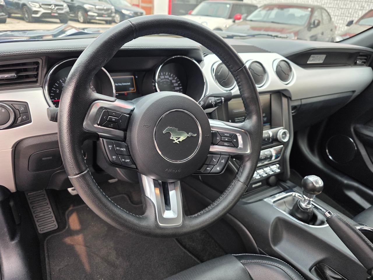 2015 Ford Mustang EcoBoost Premium Photo