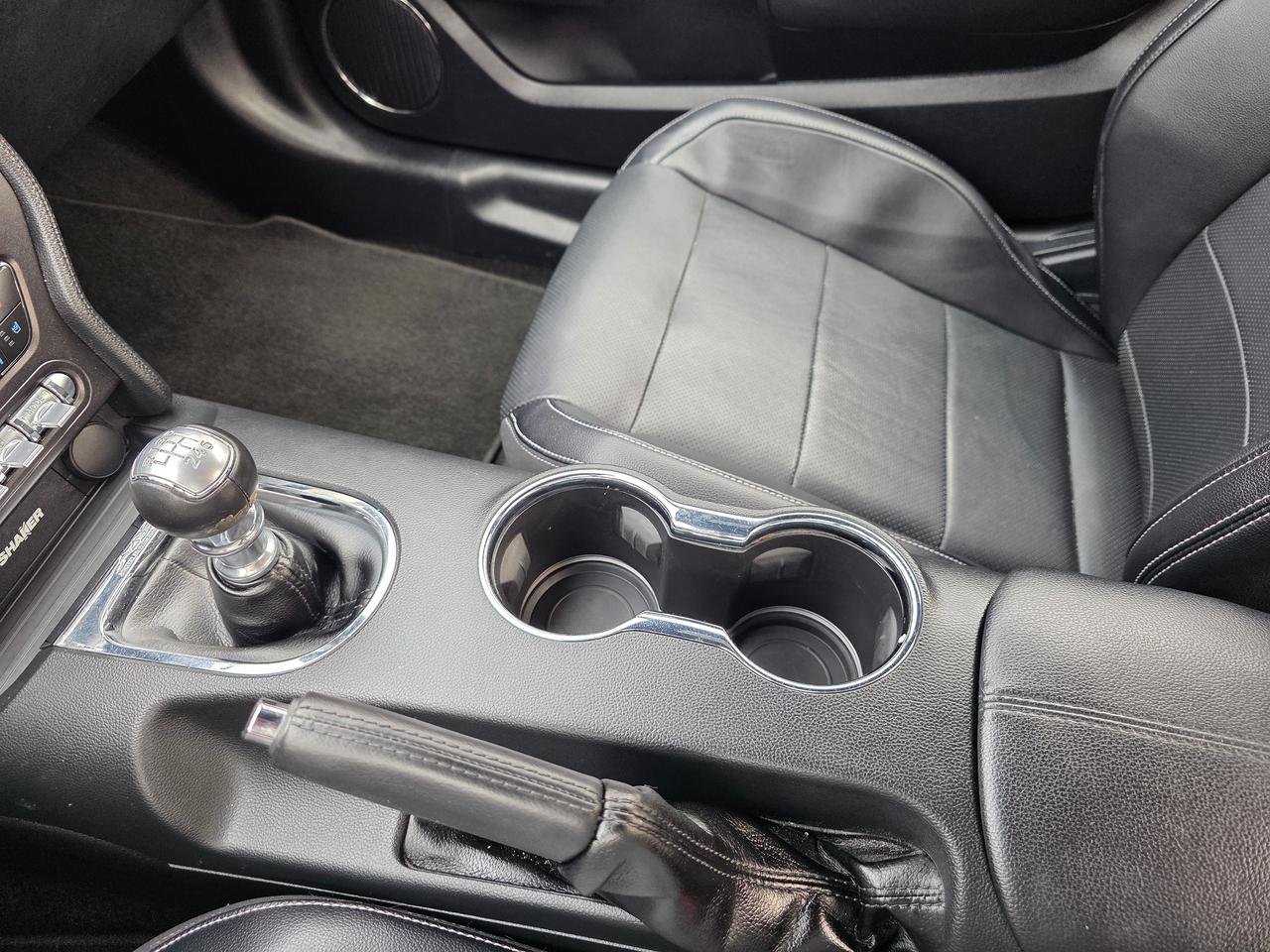 2015 Ford Mustang EcoBoost Premium Photo