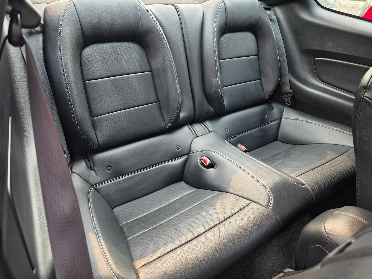2015 Ford Mustang EcoBoost Premium Photo