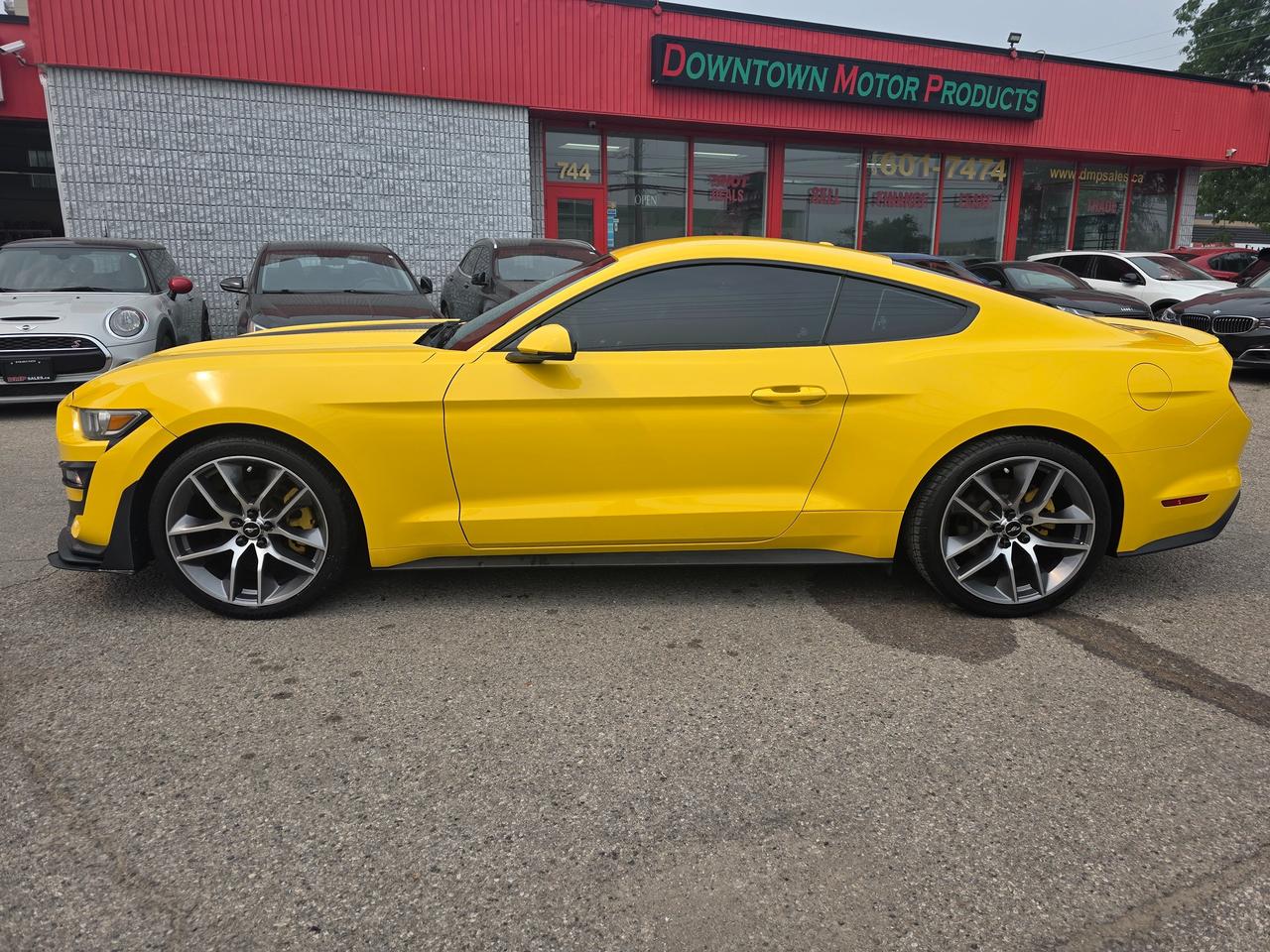 2015 Ford Mustang EcoBoost Premium Photo2