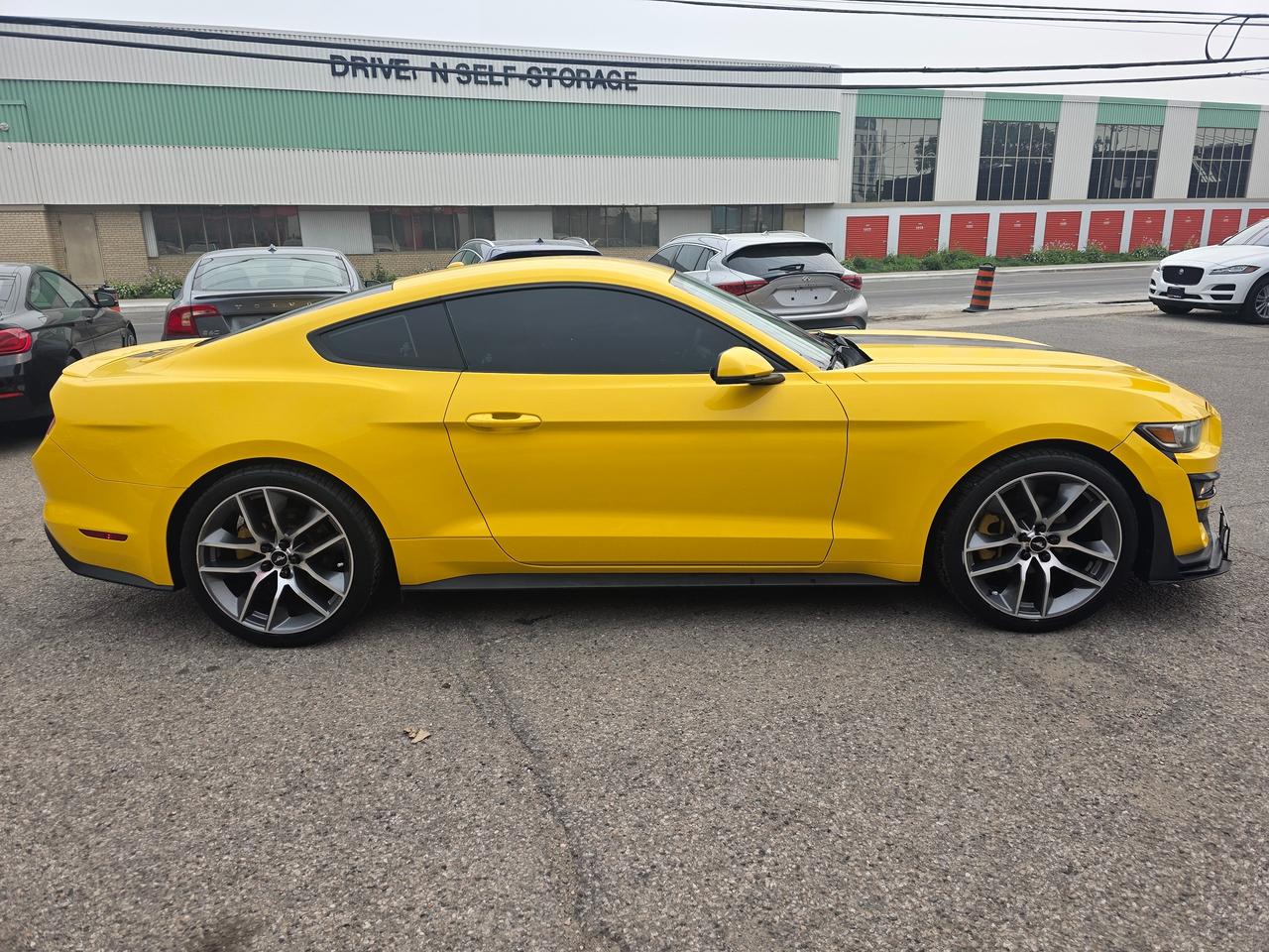 2015 Ford Mustang EcoBoost Premium Photo