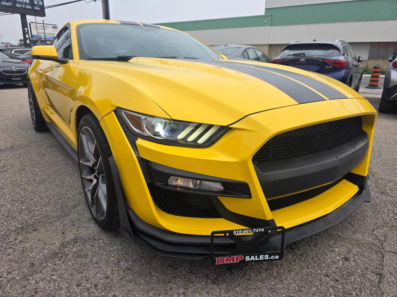 2015 Ford Mustang EcoBoost Premium Photo