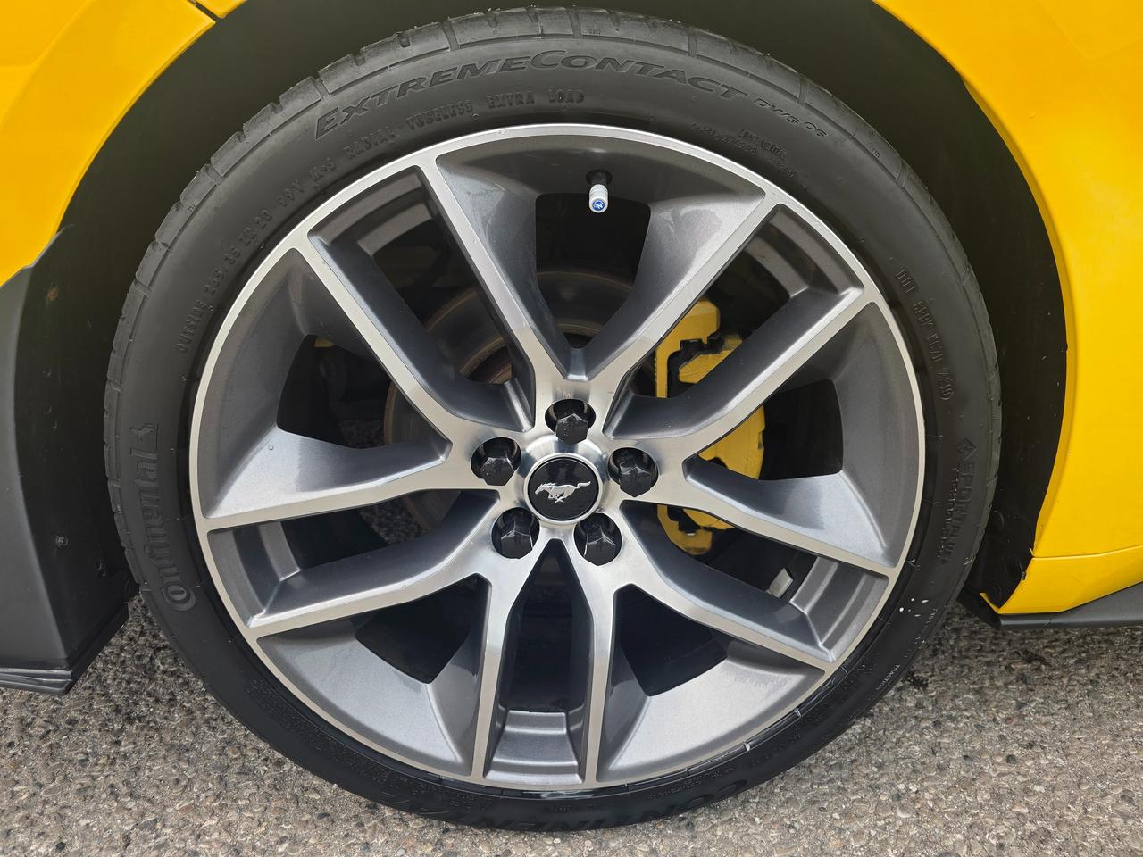 2015 Ford Mustang EcoBoost Premium Photo