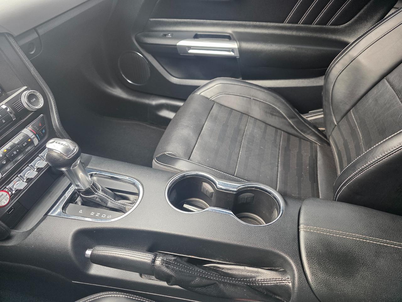 2015 Ford Mustang EcoBoost Premium Photo