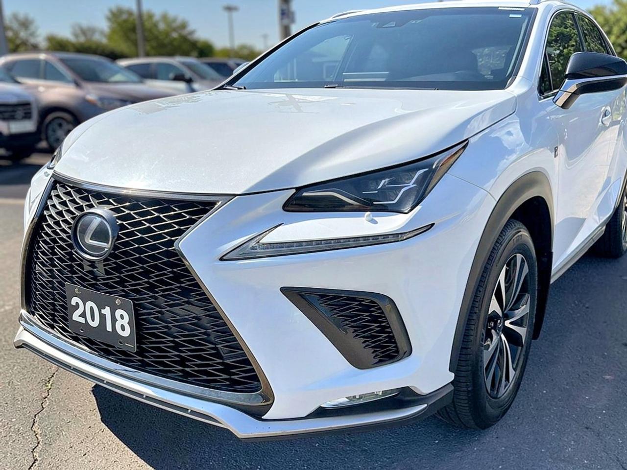 2018 Lexus NX NX 300 Photo