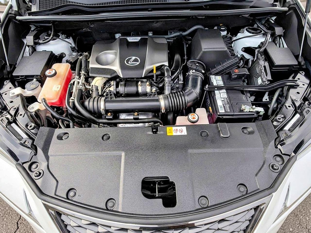 2018 Lexus NX NX 300 Photo