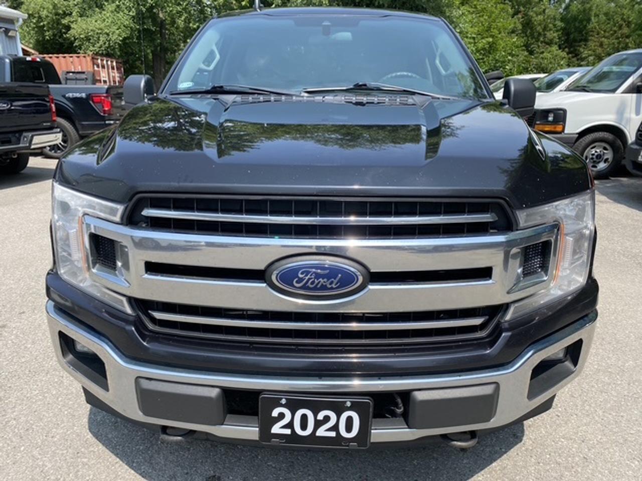 2020 Ford F-150 4WD SUPERCREW 5.5' BOX XLT CREW CAB Photo