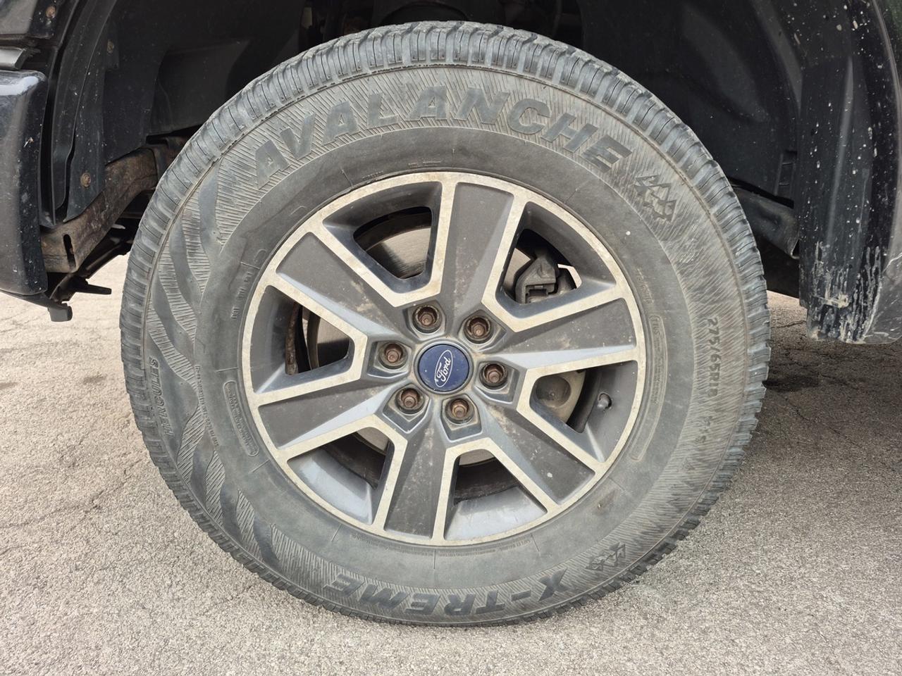 2017 Ford F-150 XLT Photo