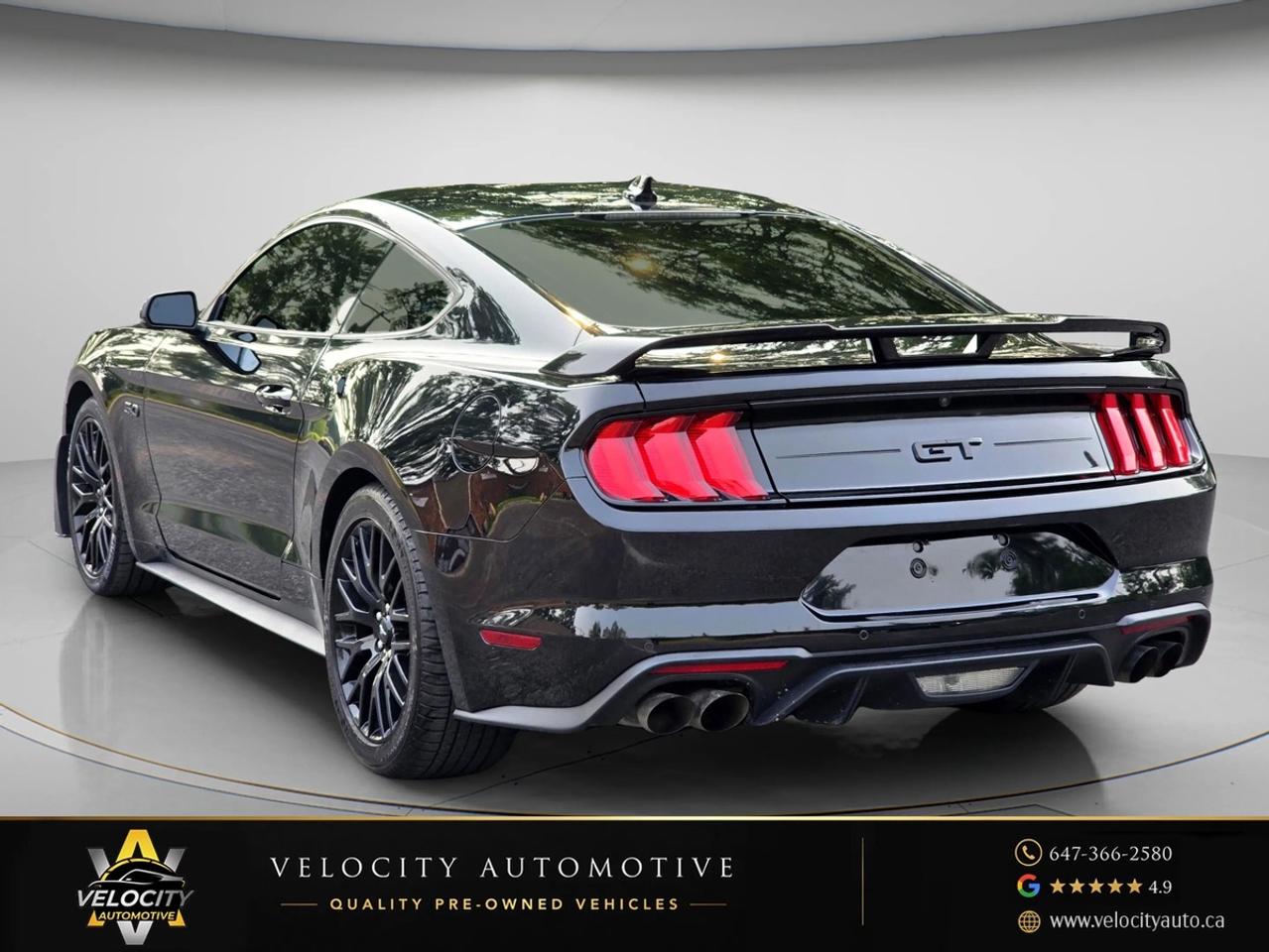 2020 Ford Mustang GT Premium Fastback Photo