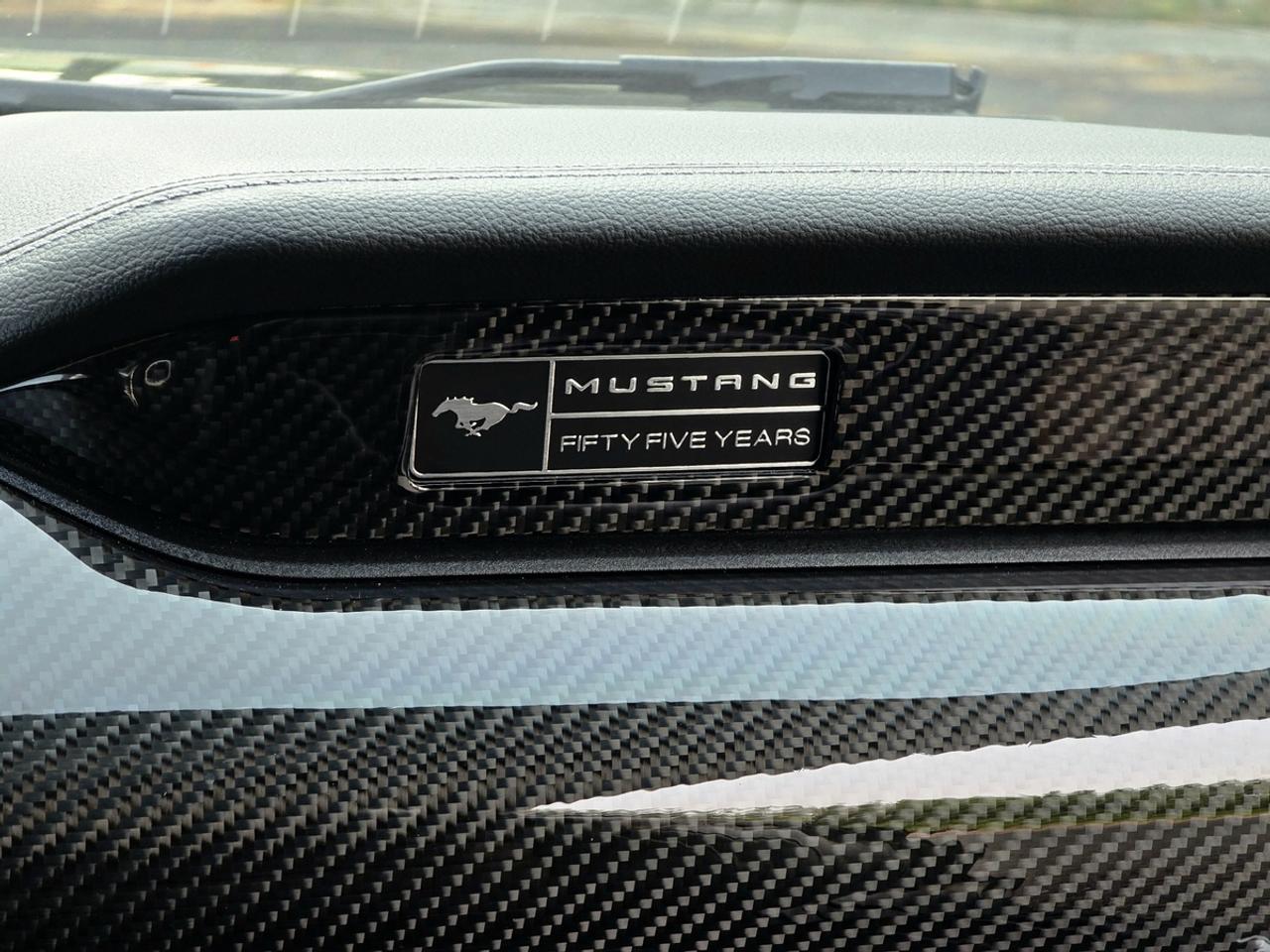 2020 Ford Mustang GT Premium Fastback Photo
