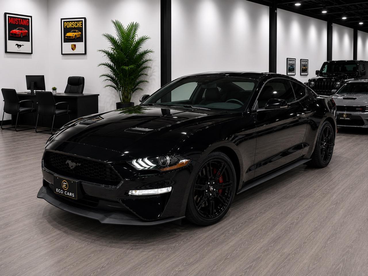 2019 Ford Mustang EcoBoost|One Owner|Full Service History|Clean Carf Photo