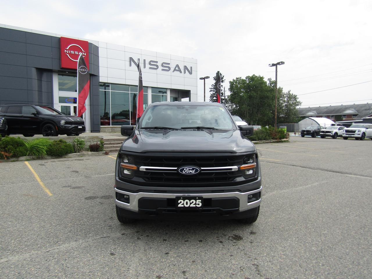 2025 Ford F-150 XLT Photo