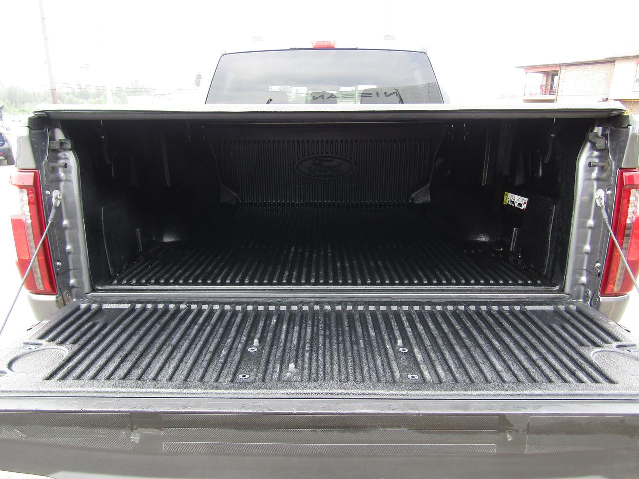 2025 Ford F-150 XLT Photo
