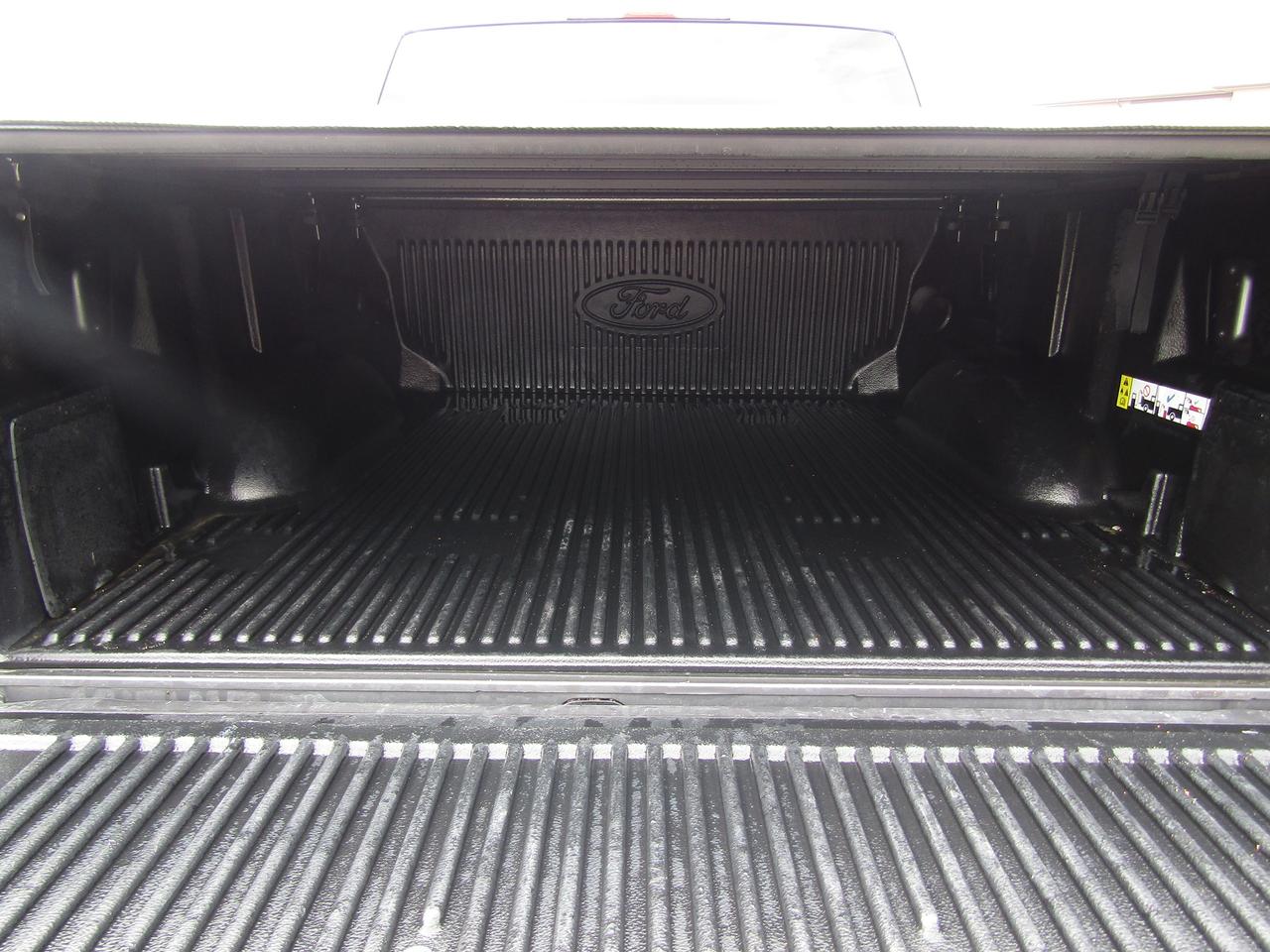 2025 Ford F-150 XLT Photo