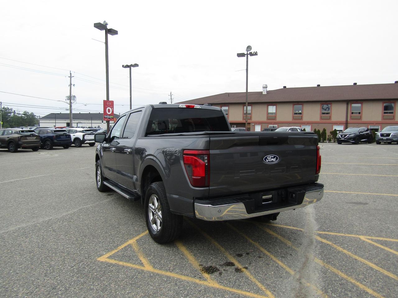 2025 Ford F-150 XLT Photo