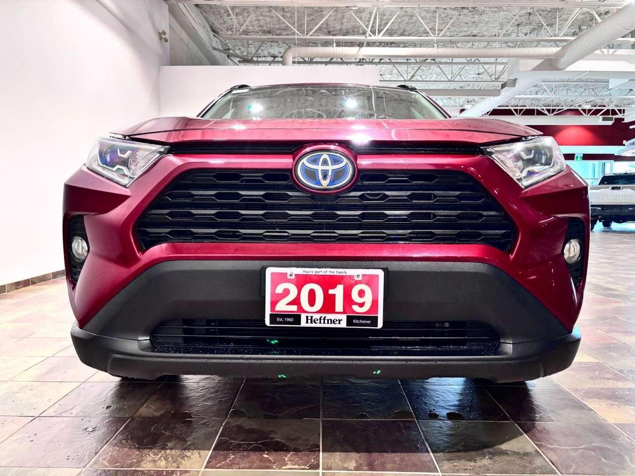2019 Toyota RAV4 AWD Hybrid XLE Photo