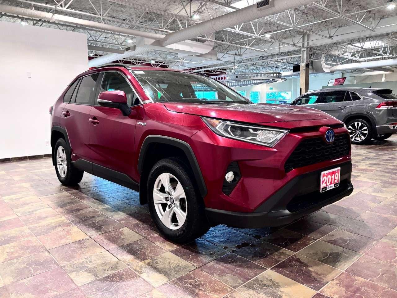 2019 Toyota RAV4 AWD Hybrid XLE Photo