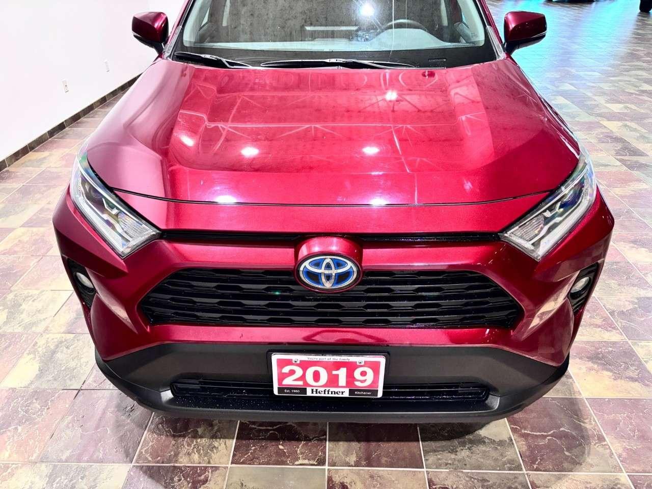 2019 Toyota RAV4 AWD Hybrid XLE Photo