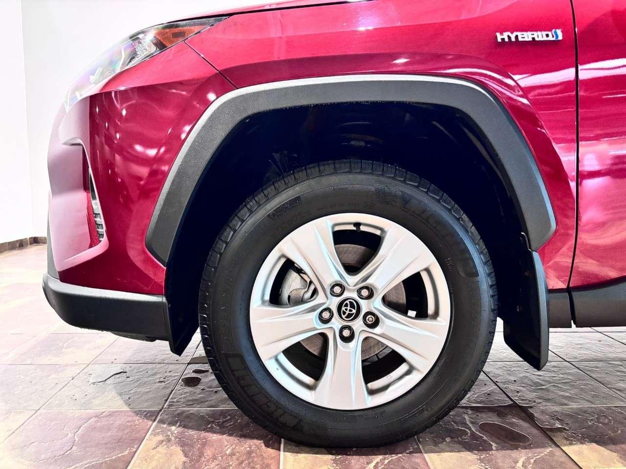 2019 Toyota RAV4 AWD Hybrid XLE Photo