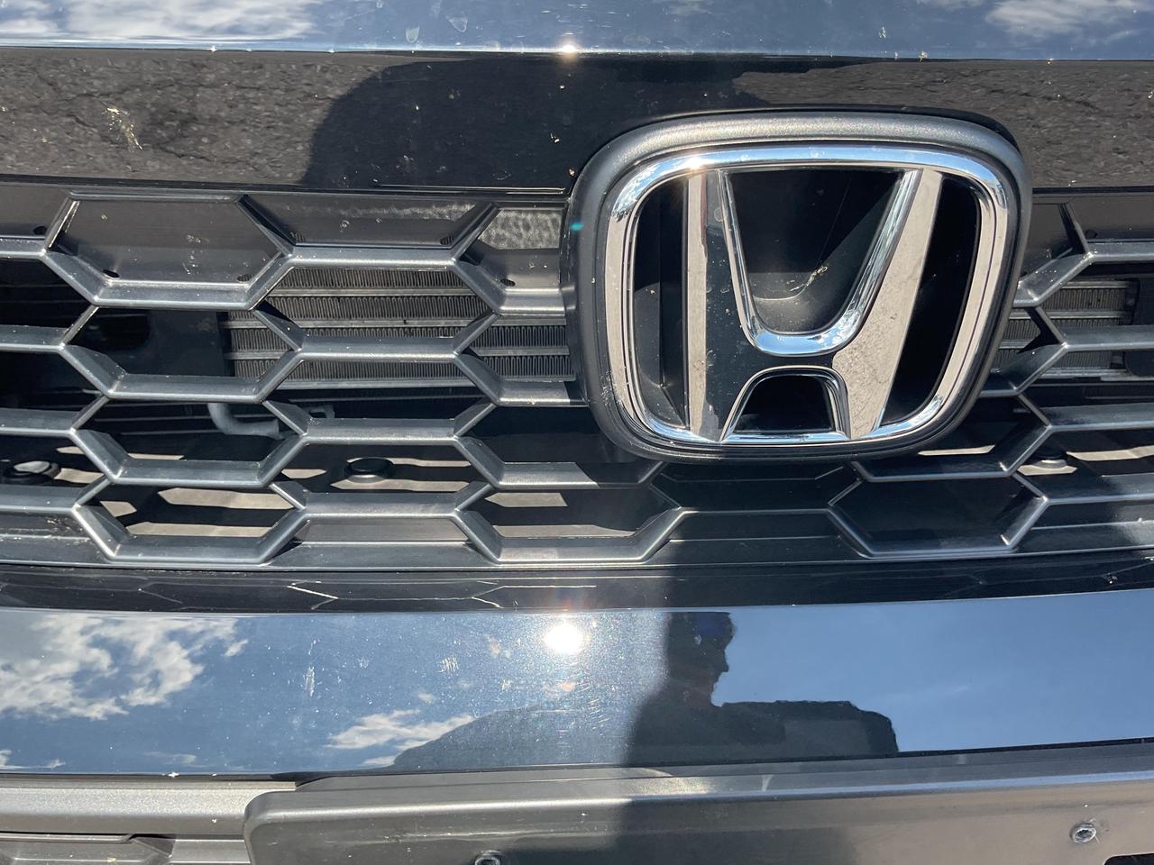 2025 Honda Civic Hybrid  Photo