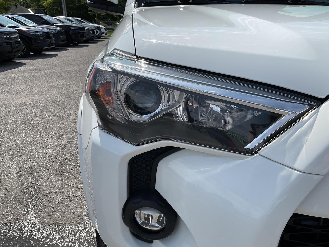 2024 Toyota 4Runner Base 4dr 4x4 Photo