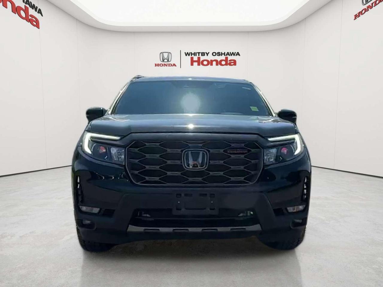 2024 Honda Passport TRAILSPORT Photo