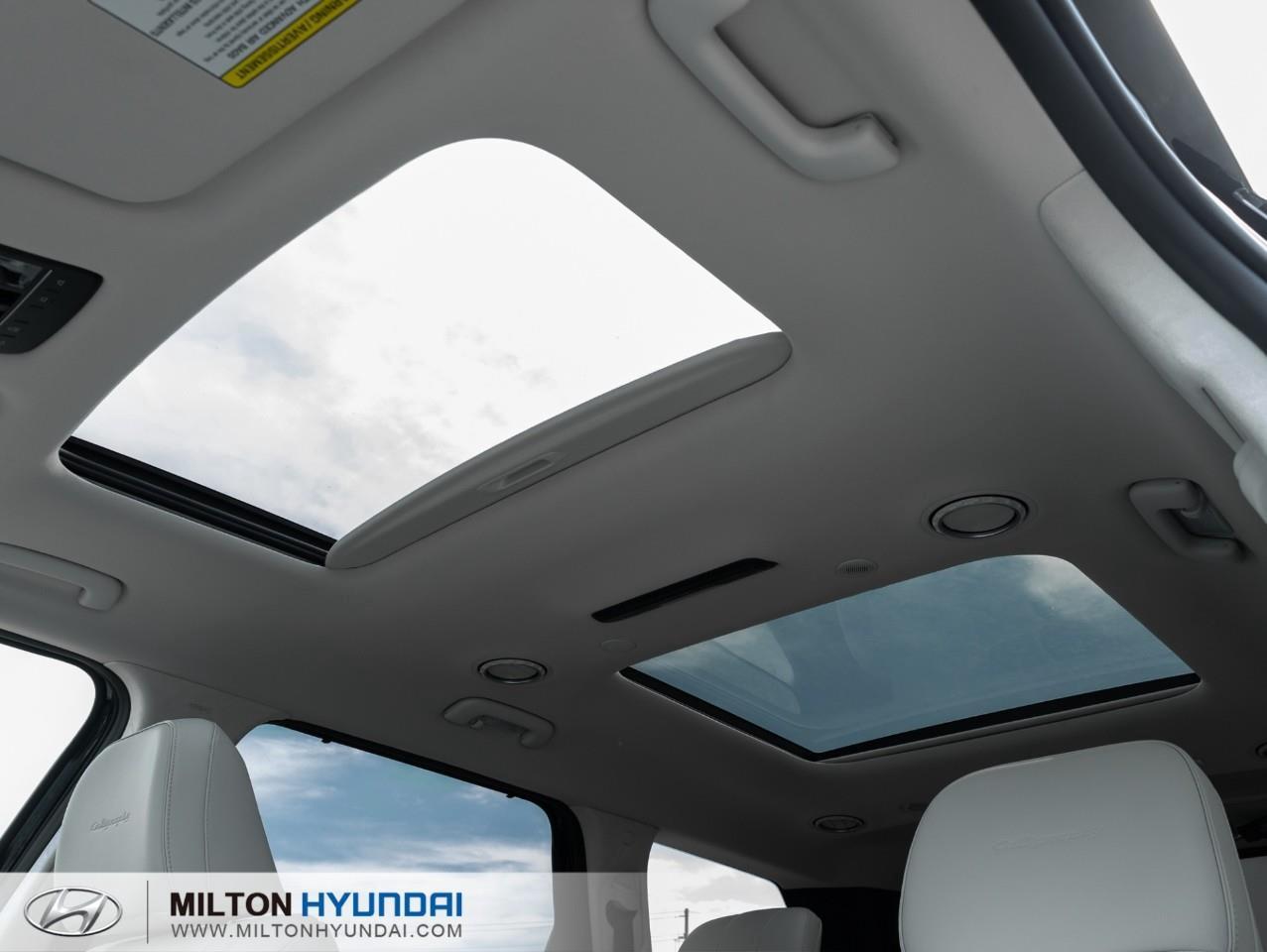 2026 Hyundai PALISADE Ultimate Calligraphy 4dr All-Wheel Drive Photo