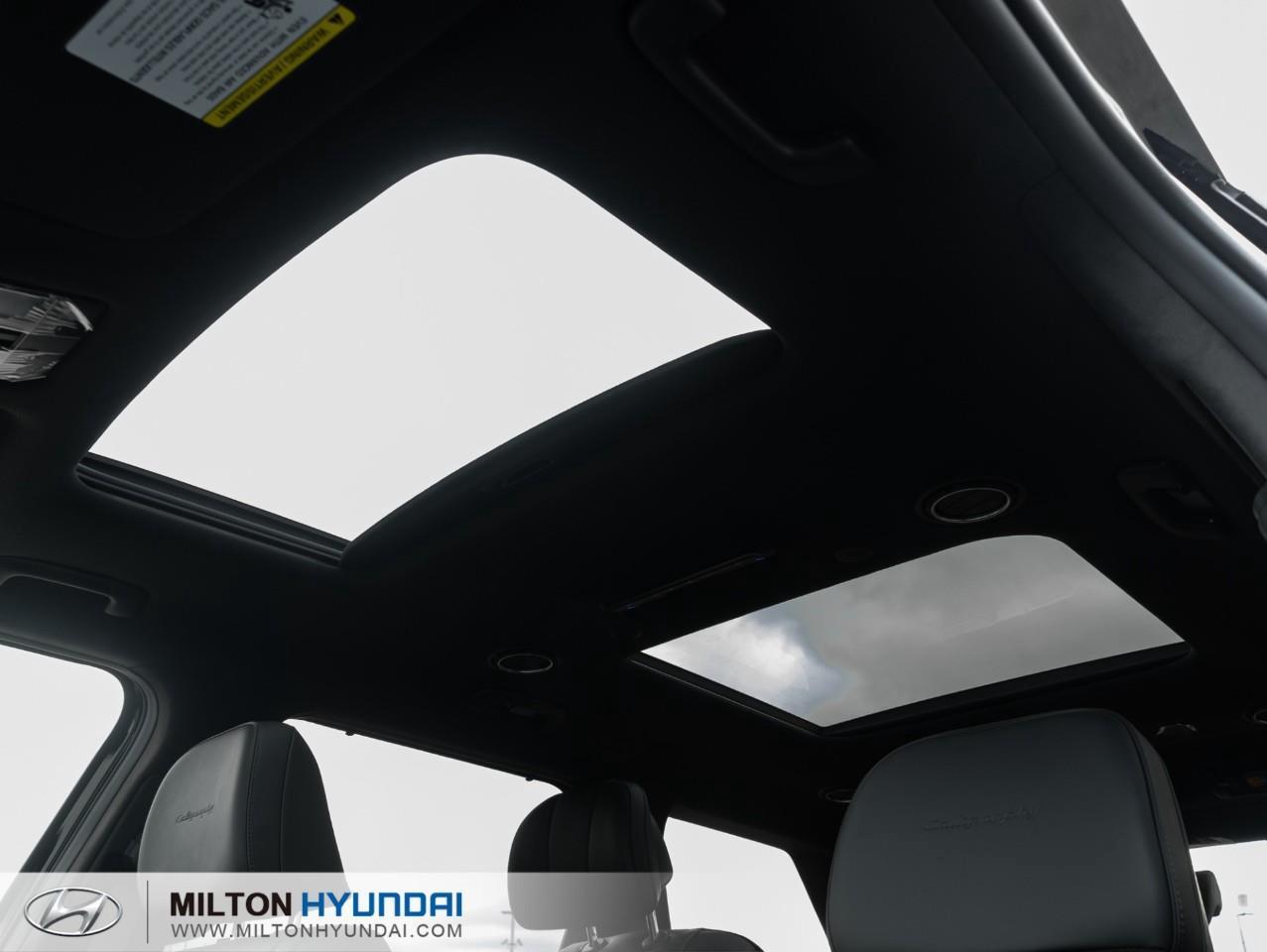 2026 Hyundai PALISADE Ultimate Calligraphy 4dr All-Wheel Drive Photo