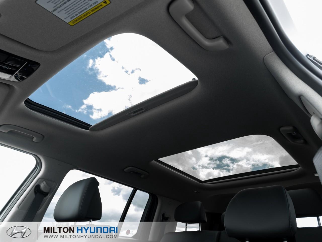 2026 Hyundai Santa Fe HEV Luxury 4dr All-Wheel Drive Photo