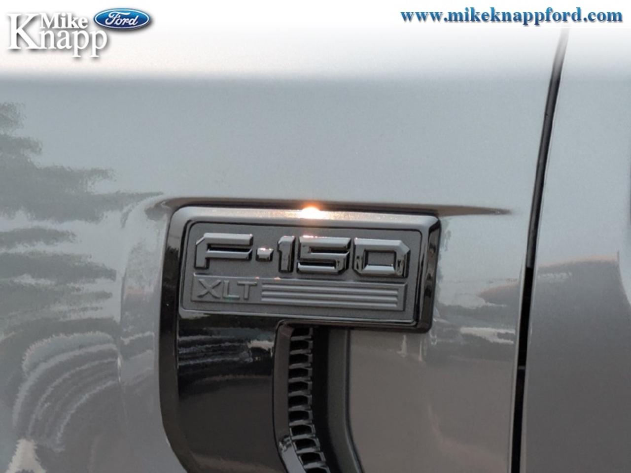 2026 Ford F-150 XLT Photo