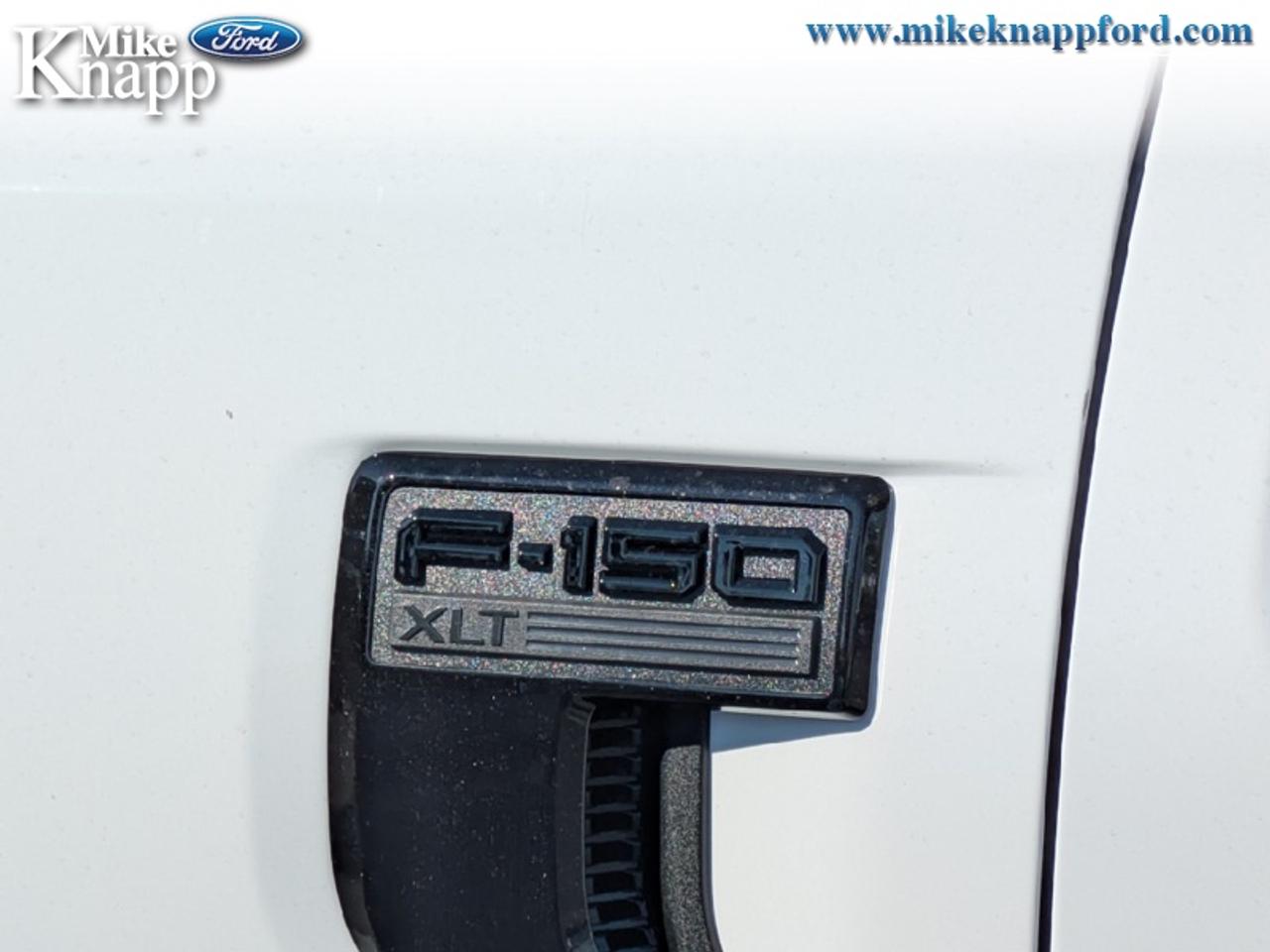 2026 Ford F-150 XLT Photo