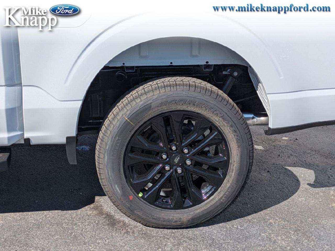2026 Ford F-150 XLT Photo