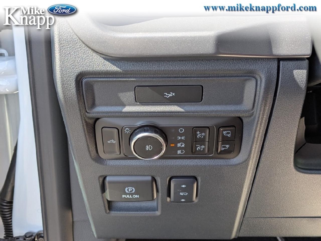 2026 Ford F-150 XLT Photo