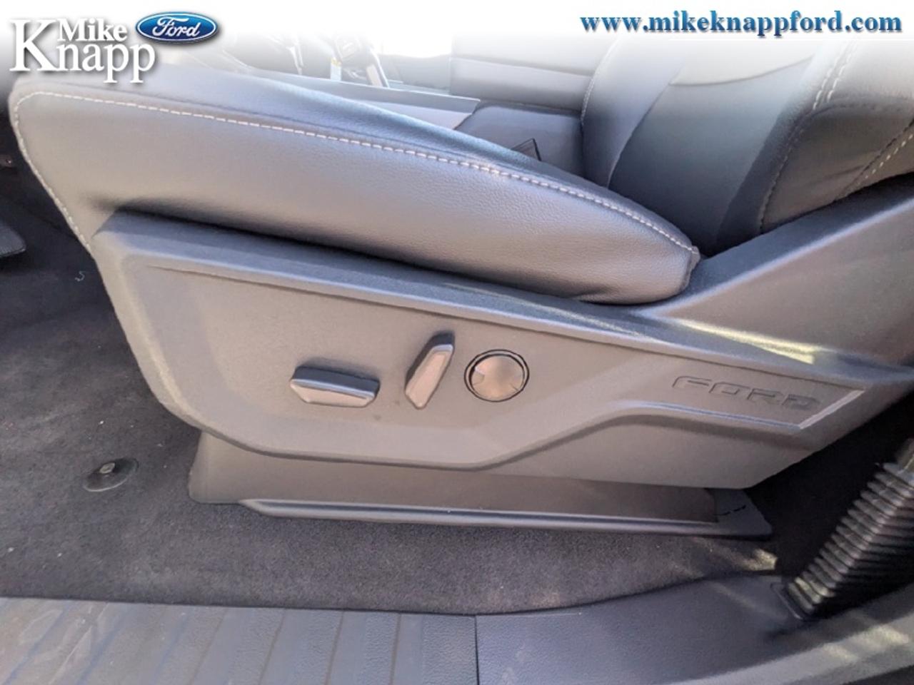2026 Ford F-150 XLT Photo