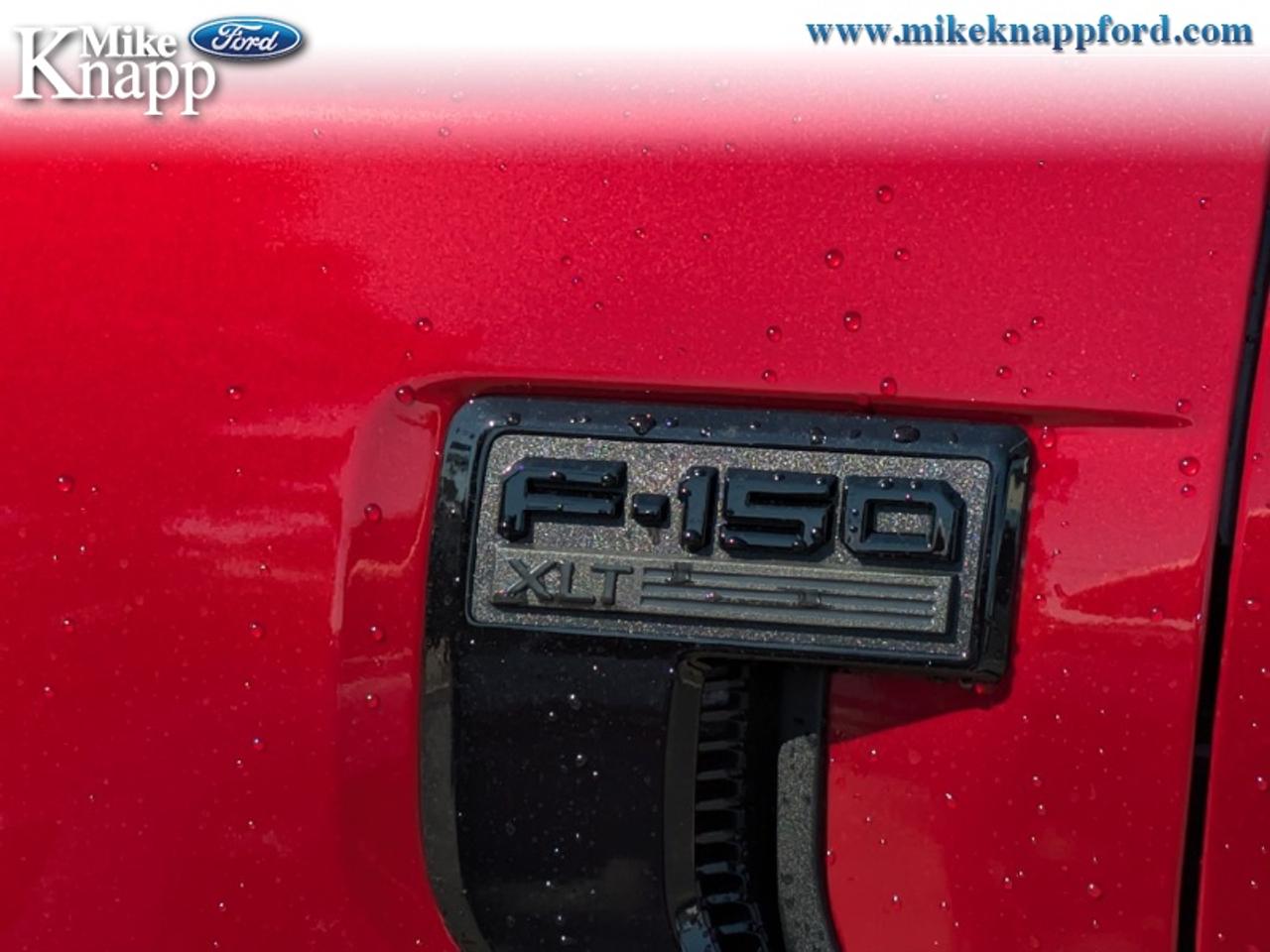2026 Ford F-150 XLT Photo