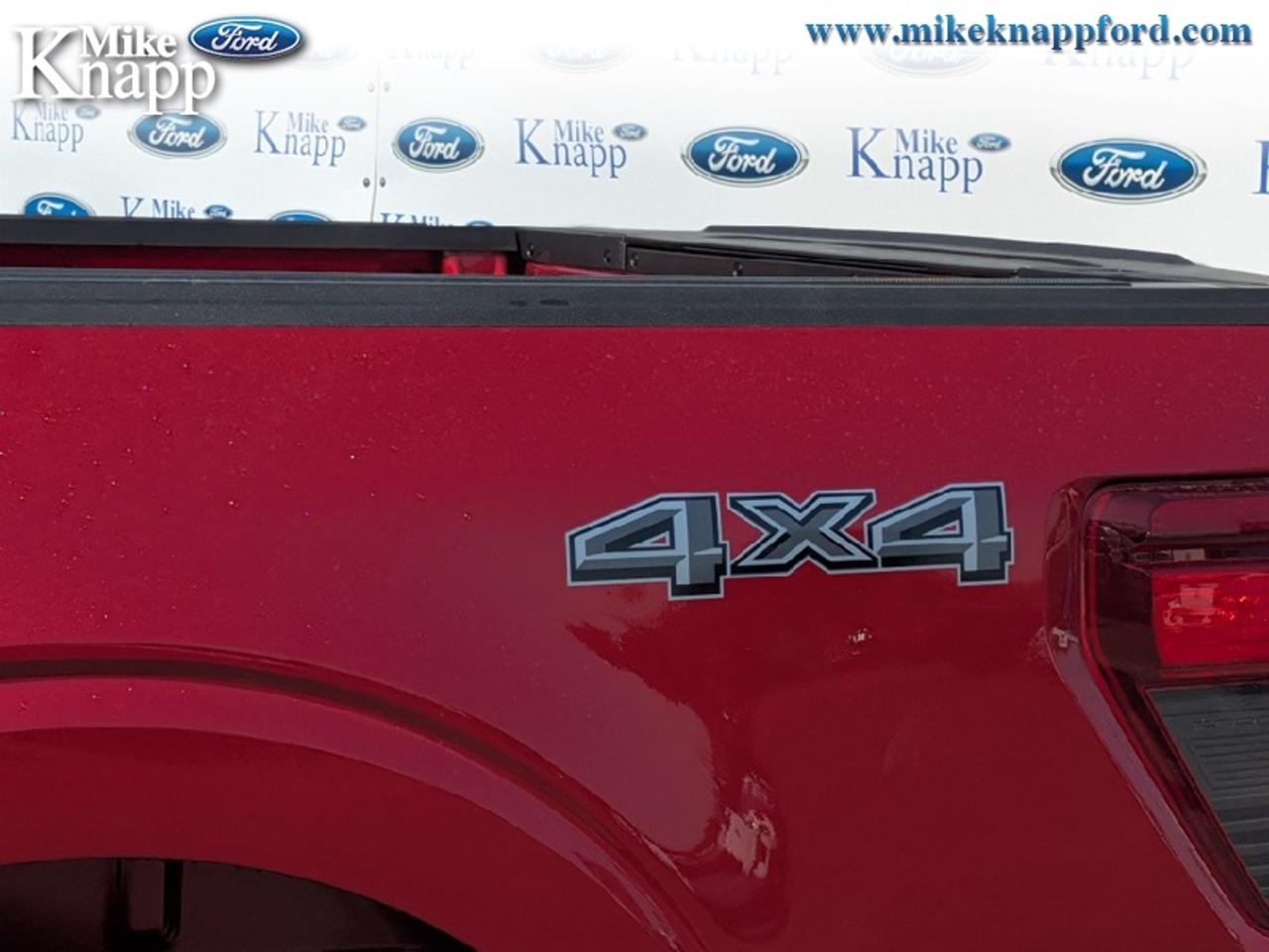 2026 Ford F-150 XLT Photo