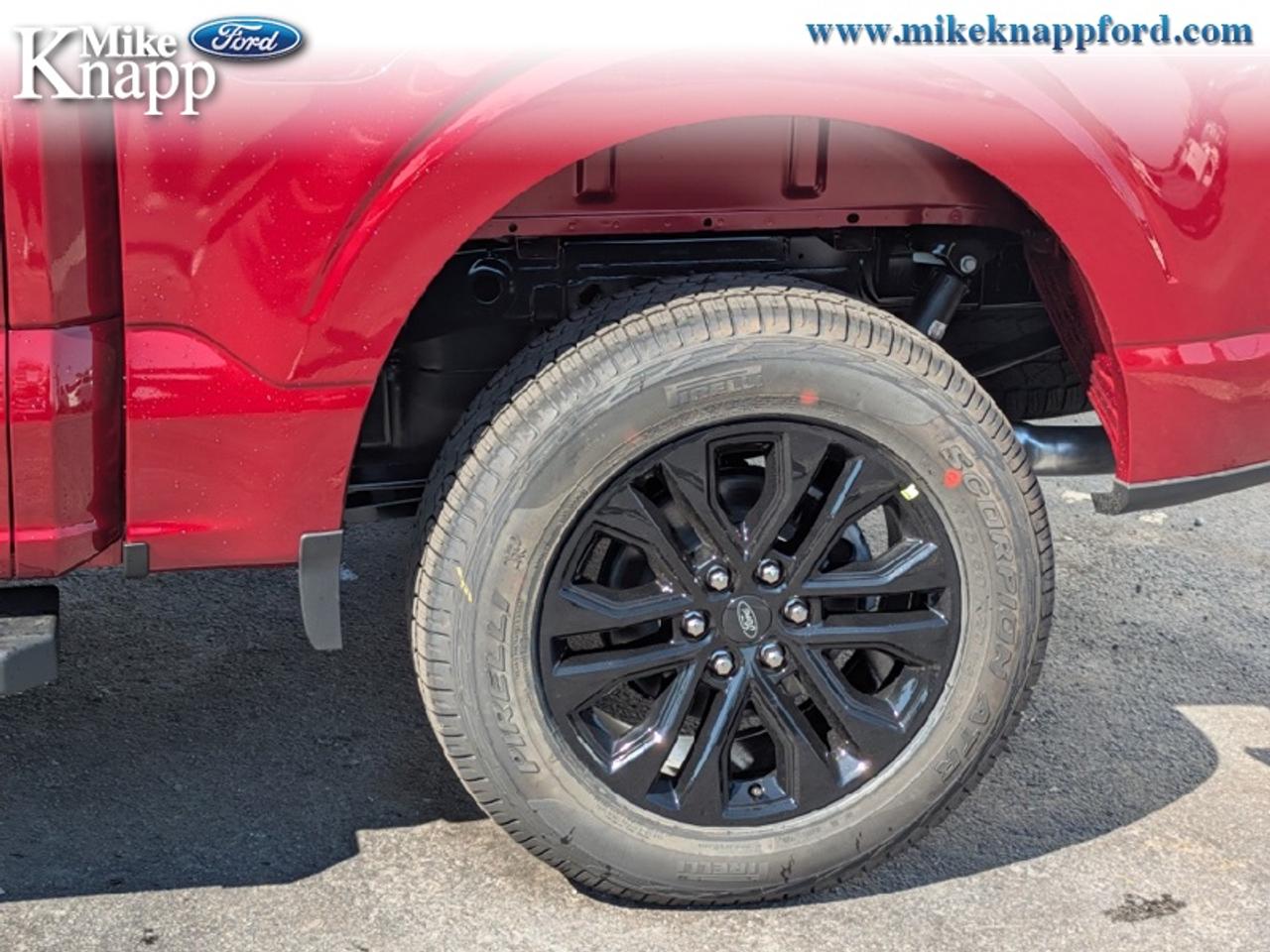 2026 Ford F-150 XLT Photo