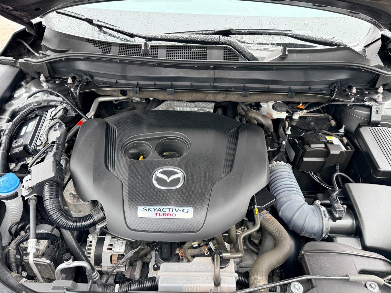 2024 Mazda CX-5 Signature 4dr i-ACTIV All-Wheel Drive Sport Utility Photo