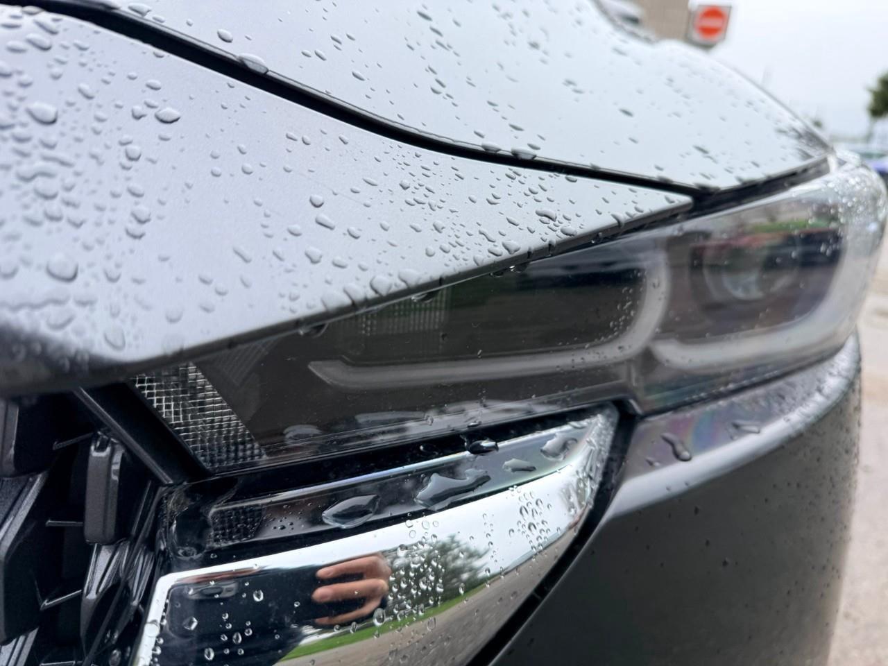 2024 Mazda CX-5 Signature 4dr i-ACTIV All-Wheel Drive Sport Utility Photo