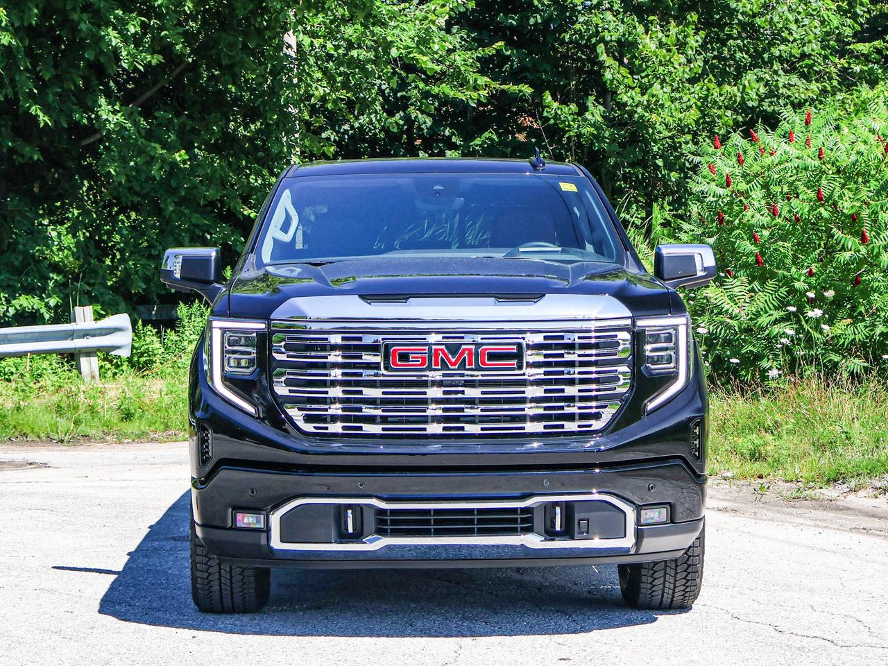2026 GMC Sierra 1500 Denali Photo