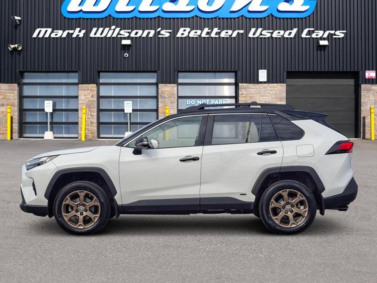 2024 Toyota RAV4 Hybrid AWD | Woodland | Sunroof | Bronze Alloys | Heated Wheel + Seats | CarPlay & More ! Photo