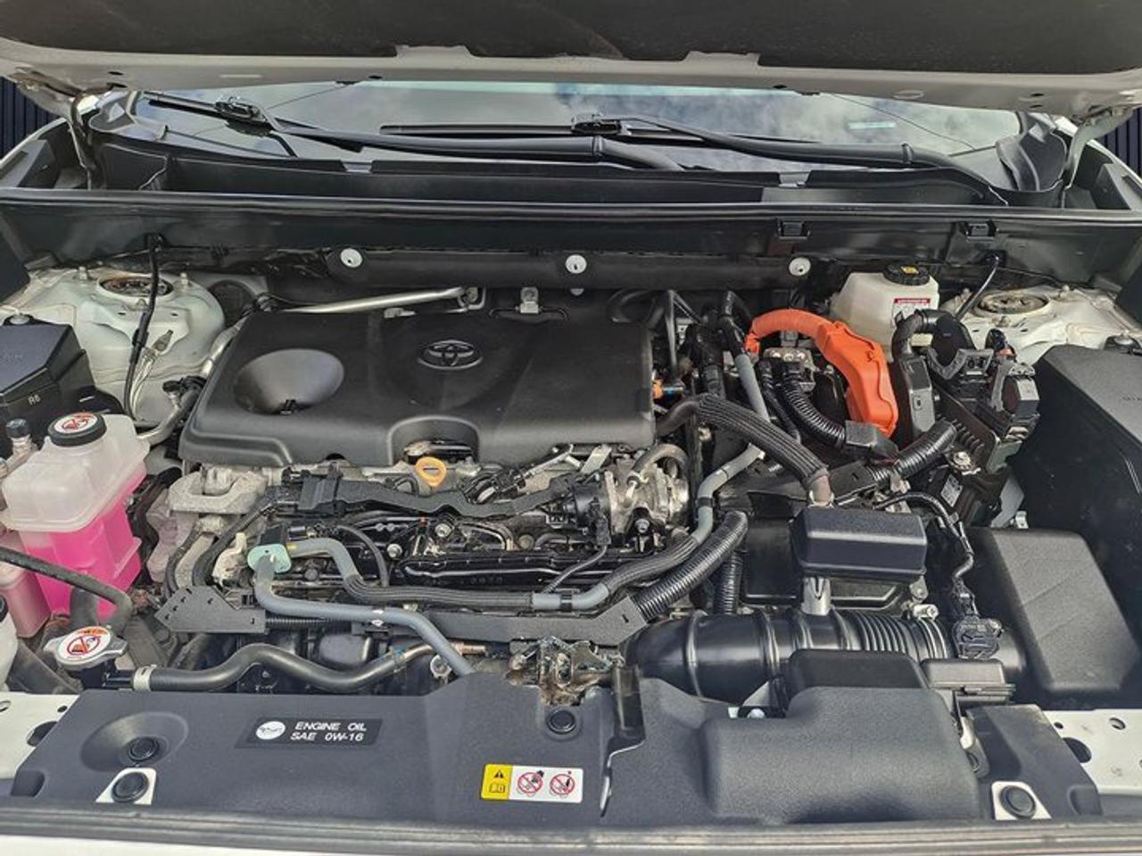 2024 Toyota RAV4 Hybrid AWD | Woodland | Sunroof | Bronze Alloys | Heated Wheel + Seats | CarPlay & More ! Photo