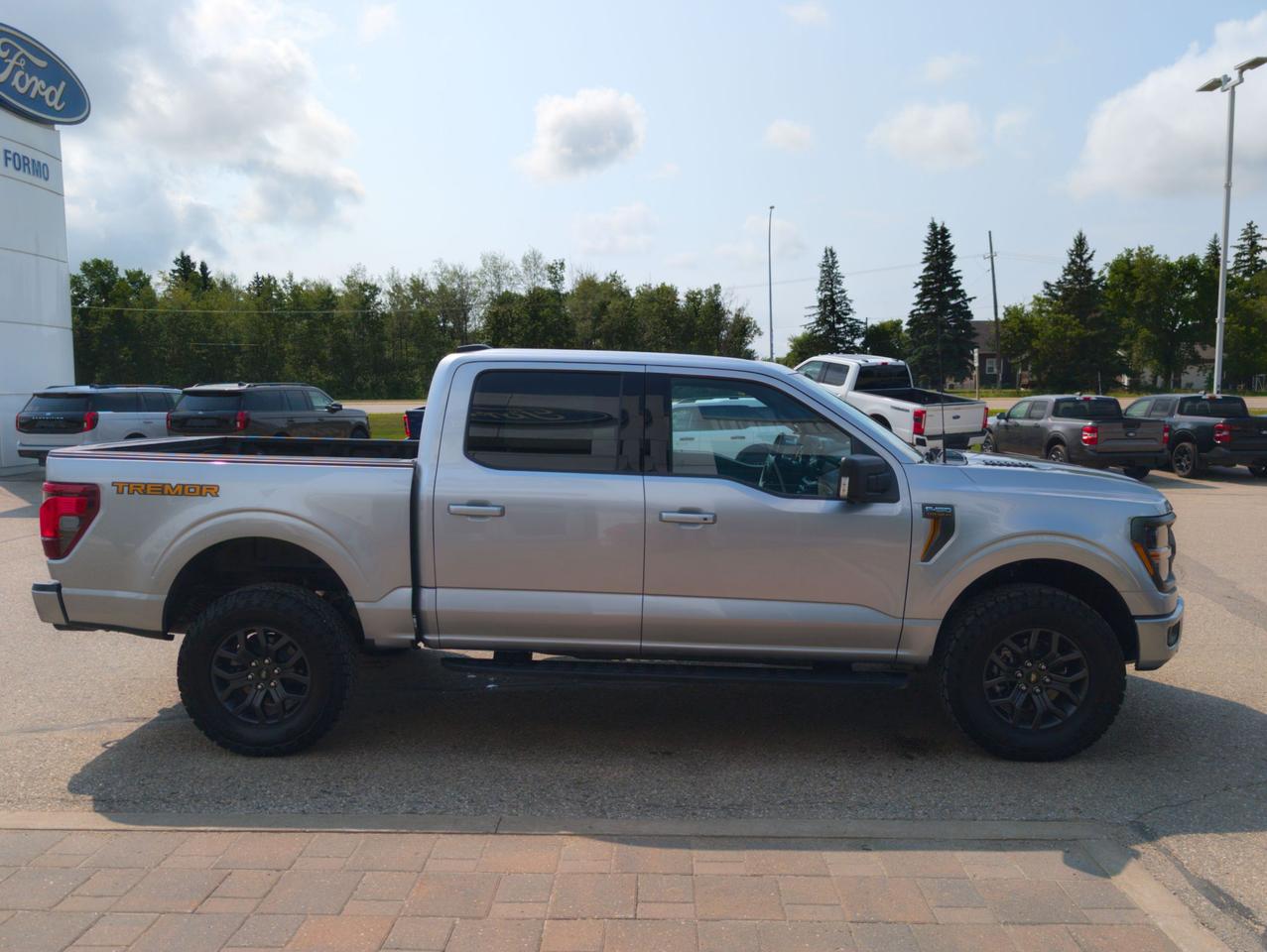 2026 Ford F-150 Tremor Photo4