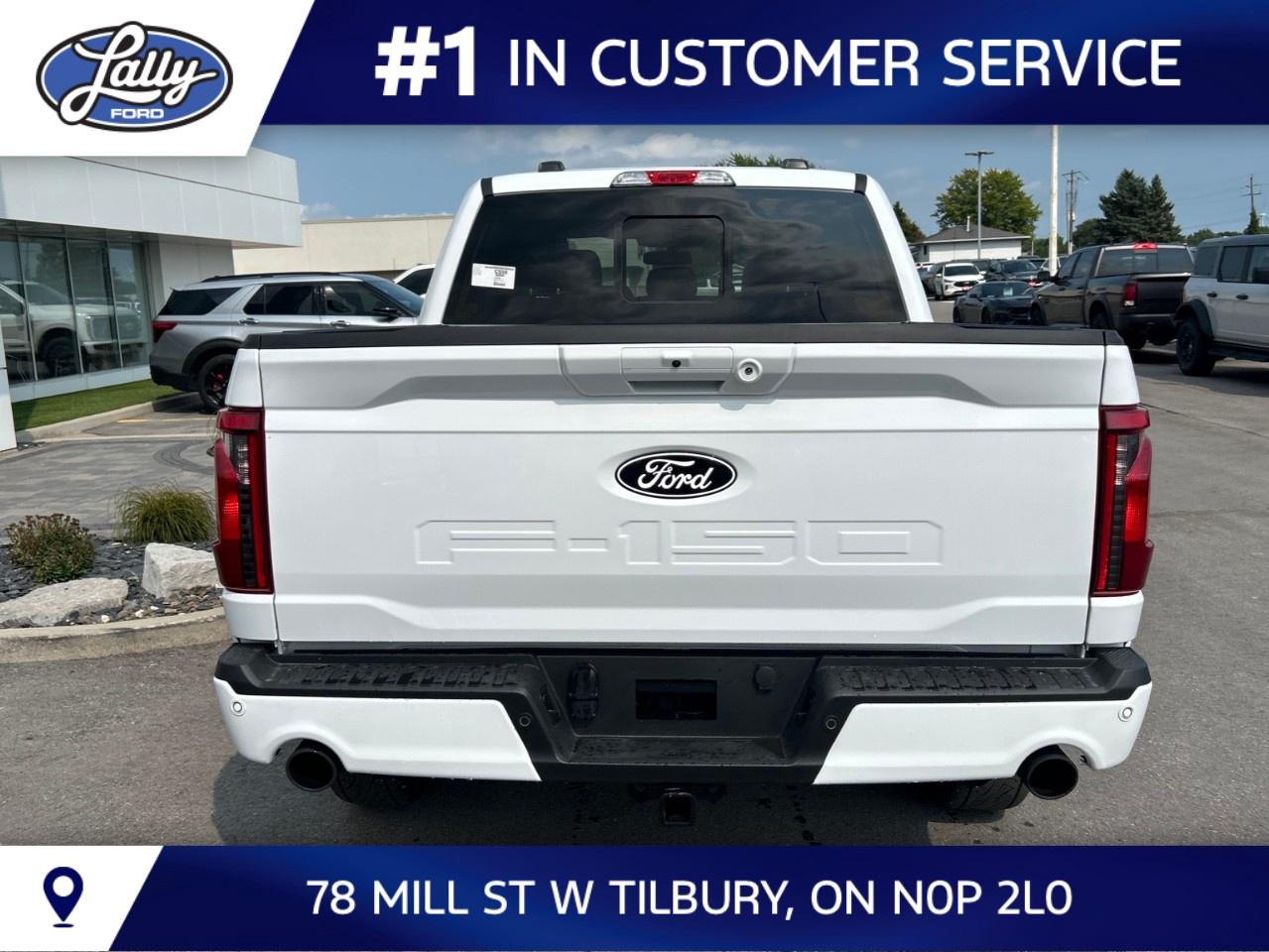 2026 Ford F-150 XLT 4WD SuperCrew 5.5' Box Photo3